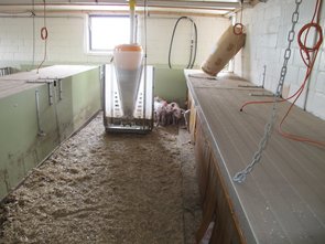Ferkelstall (ca. 10 – 25 kg Lebendgewicht)